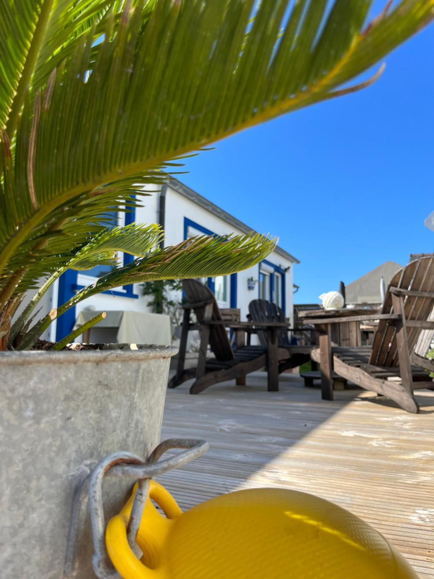 Bed and Breakfast L'Atelier De Mezareun Ushant Exterior foto